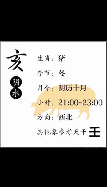 乙亥属什么生肖属相（乙亥属什么生肖的完整解析）