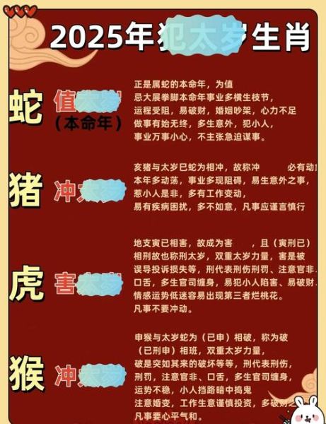 年属相是什么生肖（2025年属什么生肖？新手一看就懂）