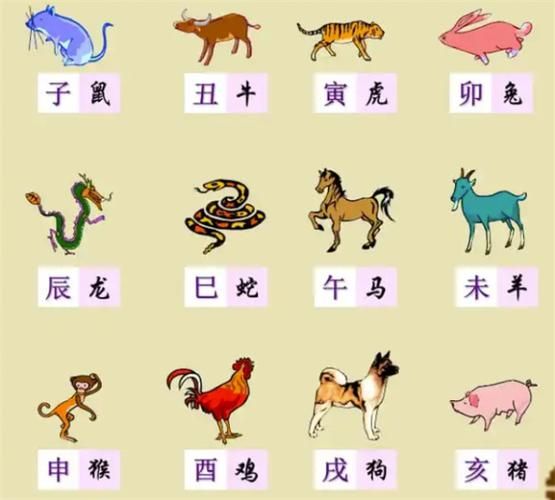 38年什么生肖属相(1938年属什么生肖)