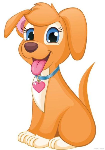 犬属于哪些生肖属相（狗对应十二生肖的属🐕）