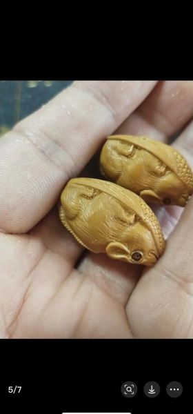 橄榄核生肖属相（橄榄核生肖属相怎么选👜）