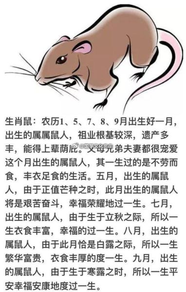 生肖12月属相(12月属相到底是猪还是鼠?)
