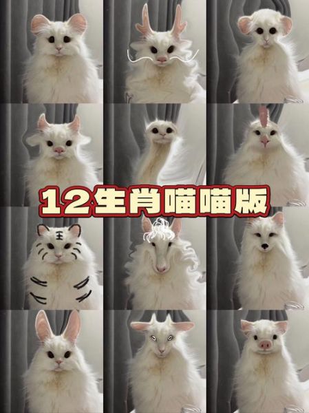 圆孔生肖属相（圆孔生肖属相指什么😸）
