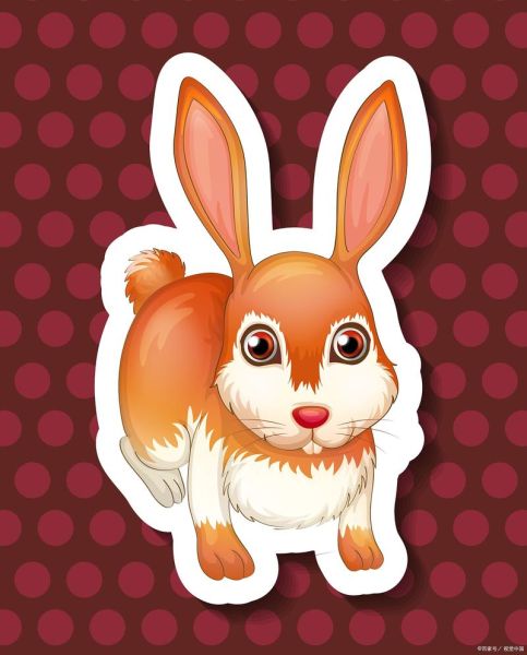 圆孔生肖属相（圆孔生肖属相指什么😸）