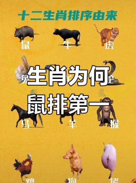 生肖12属相之首是哪个（鼠为什么是12生肖之首）