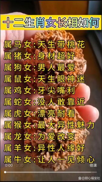 女生有哪些生肖属相（女生生肖属什么的最温柔？）