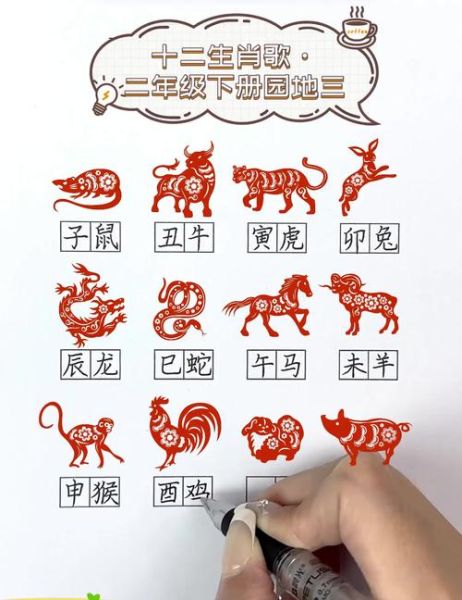 二年级背12生肖属相（二年级背12生肖属相口诀）