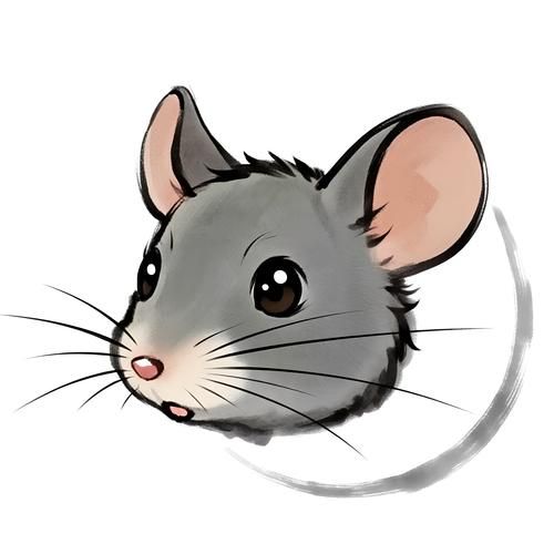 属相生肖长相（最容易被误判的生肖长相特征）