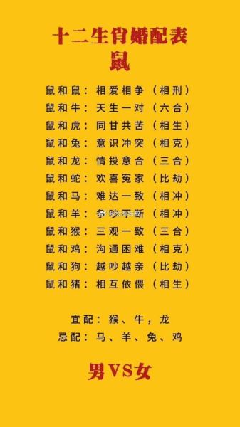 女鼠最佳匹配生肖属相（女鼠最佳婚配属相是哪个）
