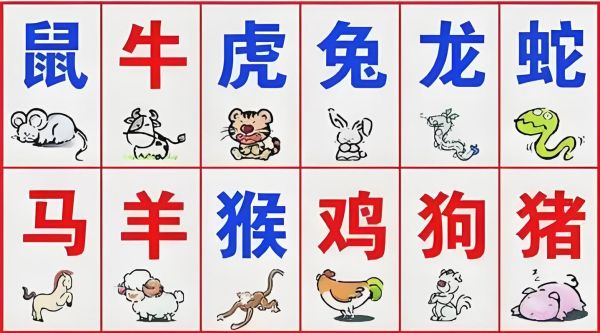 一五一十生肖属相（一五一十生肖属相是什么）