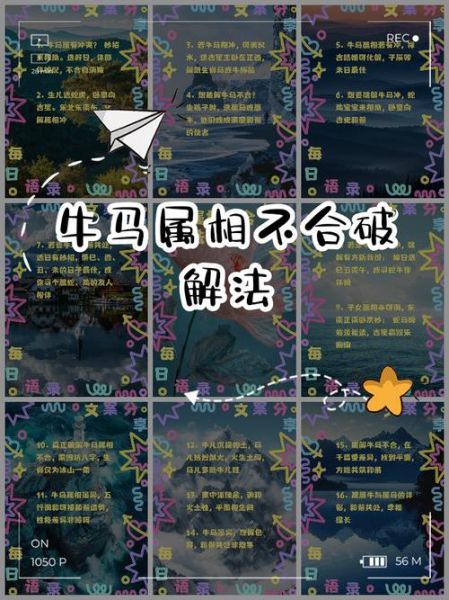 生肖马跟哪个属相不合（生肖马最不合哪个属相）