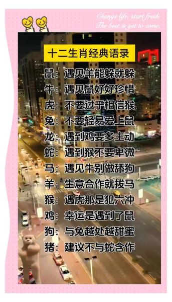 生肖属相谚语（属相谚语大全及寓意）