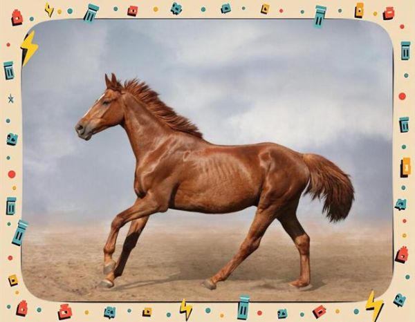 生肖马被哪个属相压制（生肖马最被什么属相压制）