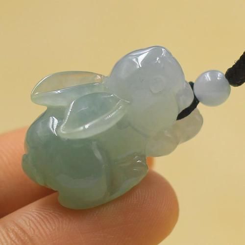 大耳朵的生肖属相（大耳朵的生肖是哪一个）