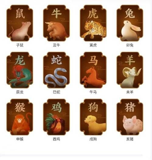 生肖巳代表什么属相(生肖巳对应的属相是什么)