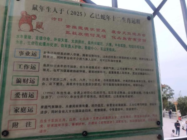 属相生肖命(2025年十二生肖每月运势详解)