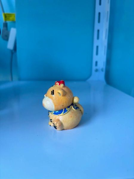 属相娃娃大点的生肖（属相娃娃大点的生肖是什么）