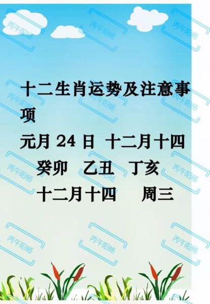 乙丑对应什么生肖和属相（乙丑年到底属什么生肖）