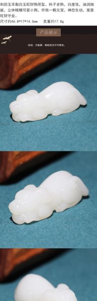 生肖狗佩戴属相(生肖狗佩戴什么属相最好最招财)