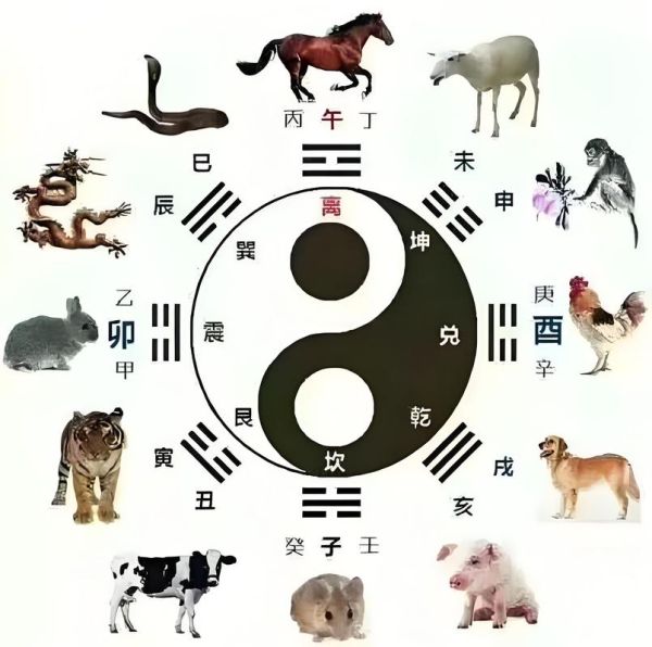 和属相冲的生肖（和属相冲的生肖有哪些？）