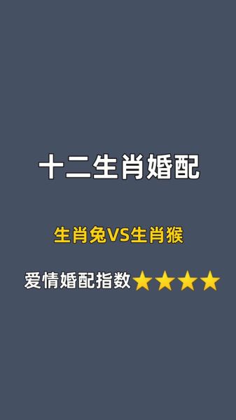 属相兔子和猴子生肖（属兔和属猴的合不合？速通配对指南）