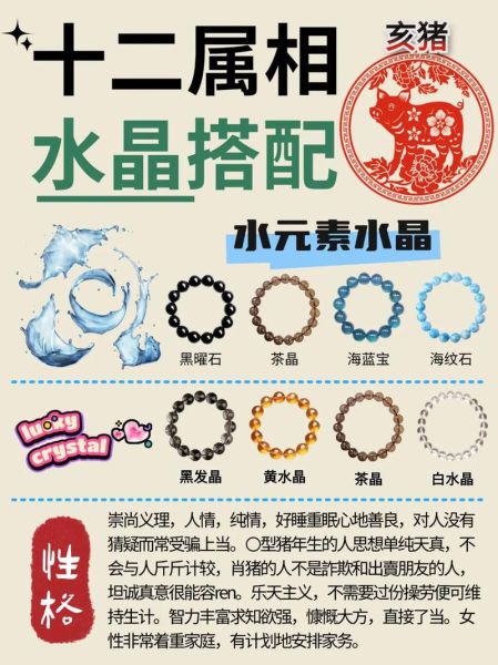 生肖猪的属相解读（生肖猪的属相解读：2024运势与性格全解）