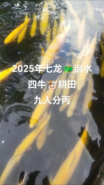 鱼属于什么生肖属相（鱼是什么生肖？新手一听就懂）