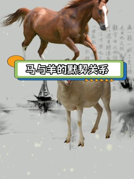 什么属相是双关生肖（双关生肖揭秘：马羊一体？）