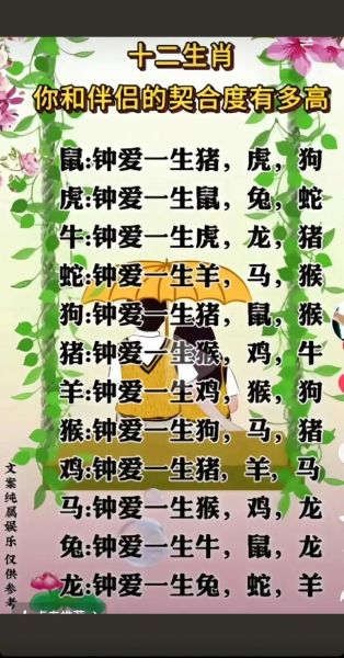 生肖属相文案视频（生肖属相文案视频新手教程）