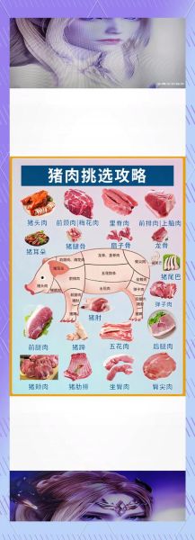 吃猪的生肖属相（属相吃猪肉的禁忌大全）