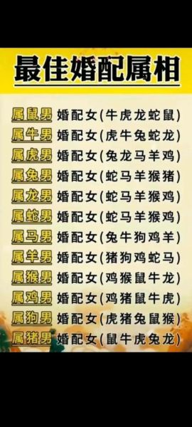 属相鸡后面是什么生肖（属相鸡后面是什么生肖答案）