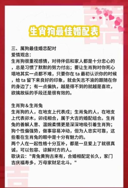 狗生肖属相婚配（属狗婚配最全生肖配对表）