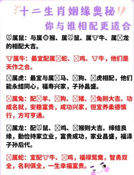 属相与生肖相合(十二生肖最佳配对指南)