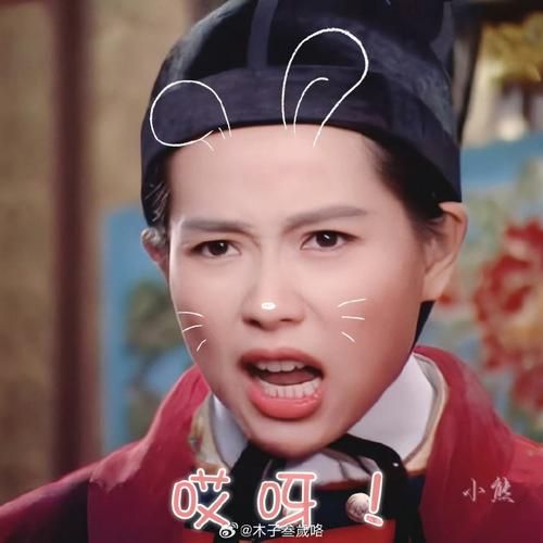 叶童属相是什么生肖