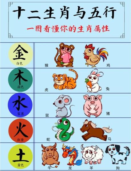属相能代表啥生肖呢(属相能代表啥生肖呢?新手一看秒懂)
