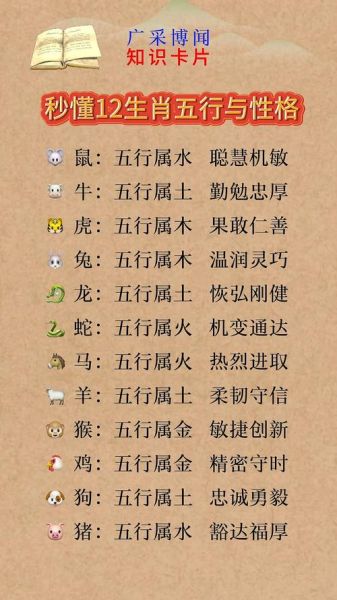 属相能代表啥生肖呢(属相能代表啥生肖呢?新手一看秒懂)