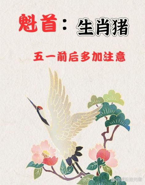 猪的生肖相冲属相（属猪相克属相如何化解）