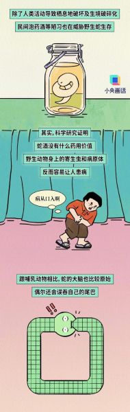 属相蛇怕什么生肖的人