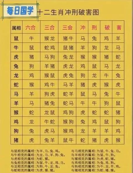 2003属什么生肖属相（2003年出生属什么生肖最全解析）