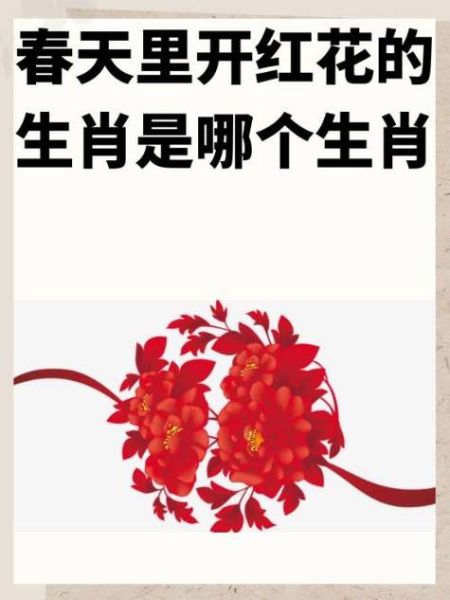 生肖也叫属相动物表示（生肖为什么又叫属相动物）