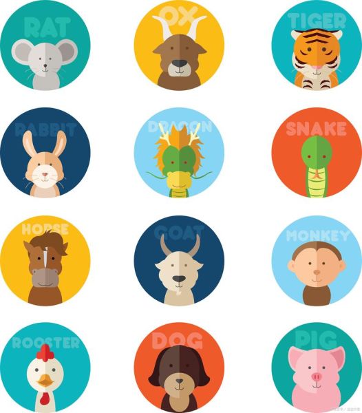 生肖也叫属相动物表示（生肖为什么又叫属相动物）