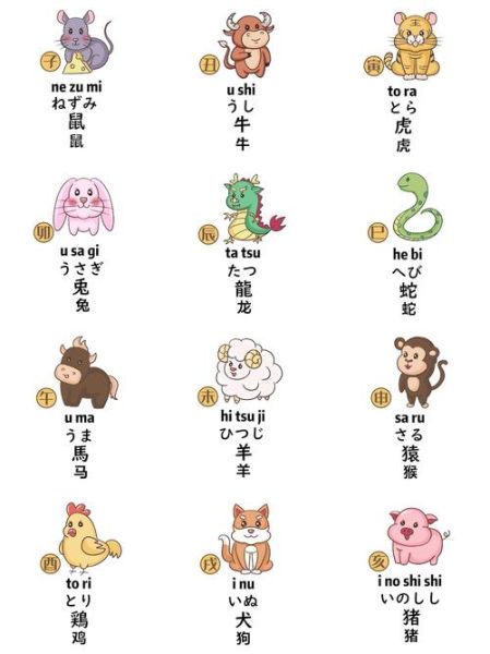 日语十二生肖属相（日语十二生肖怎么说，新手一看就会）