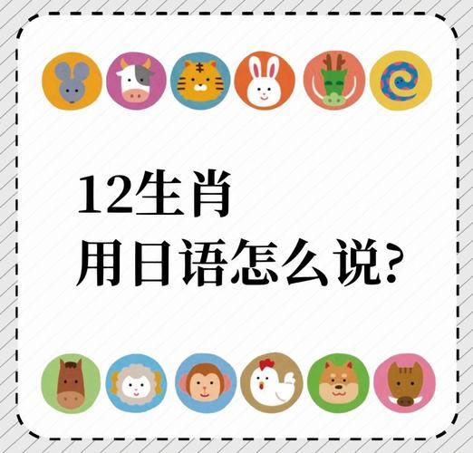 日语十二生肖属相（日语十二生肖怎么说，新手一看就会）