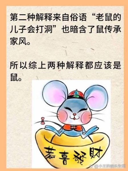 生肖鼠吃饭最好的属相是（生肖鼠与哪些属相最配餐桌❓）