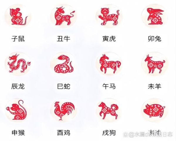 十二生肖属相演员（十二生肖属相演员谁属什么生肖）