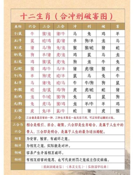 2023年属相和生肖(2023年属什么生肖对照表 速查兔年)