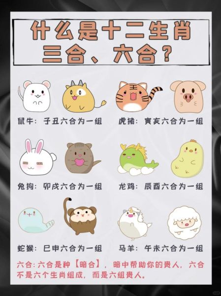 丙子属什么生肖属相