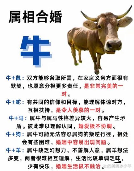 属牛最佳结合生肖属相（属牛和什么生肖最配婚）