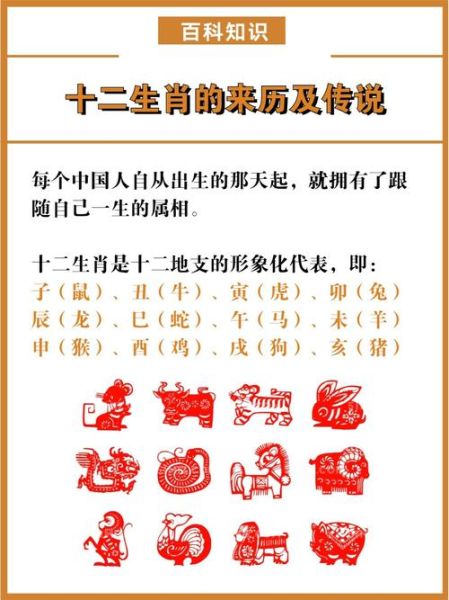 12生肖里该有的属相是（12生肖该有哪个属相）