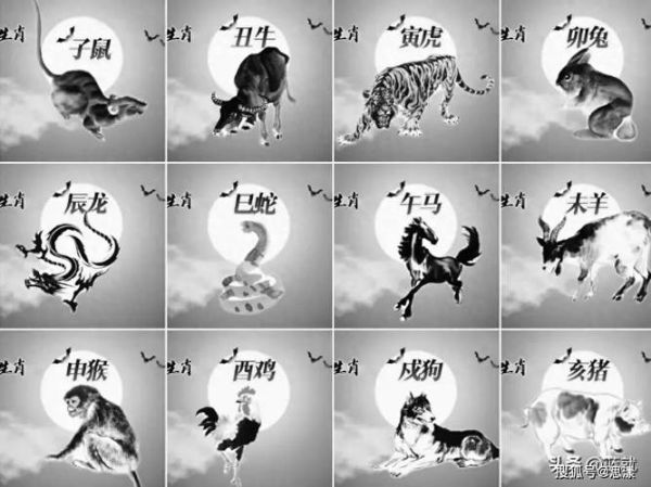12生肖里该有的属相是（12生肖该有哪个属相）